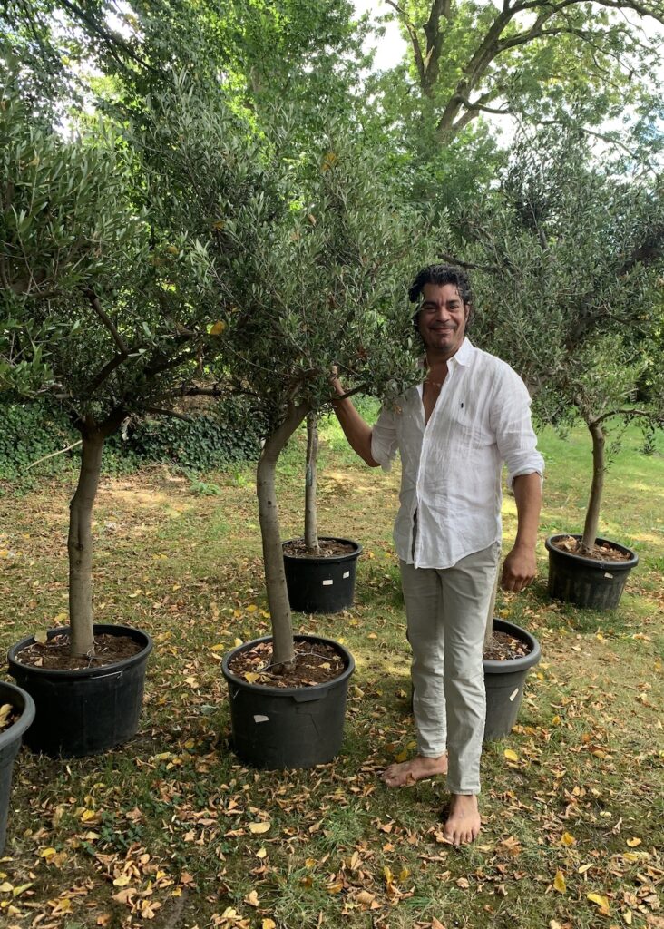 Marcel Dwarkasing Alberto Stegeman